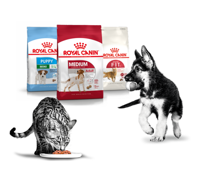 royal canin